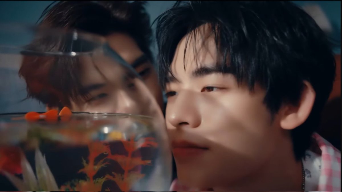 DEXX Station tweet media