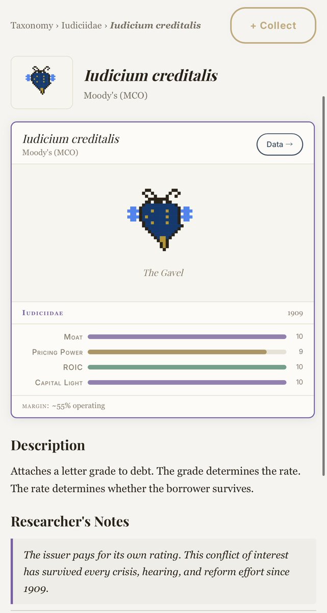 The Compoundia tweet media