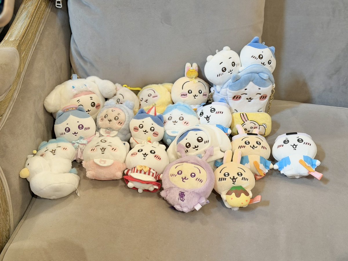 あやぴょん🕊️💛 tweet media