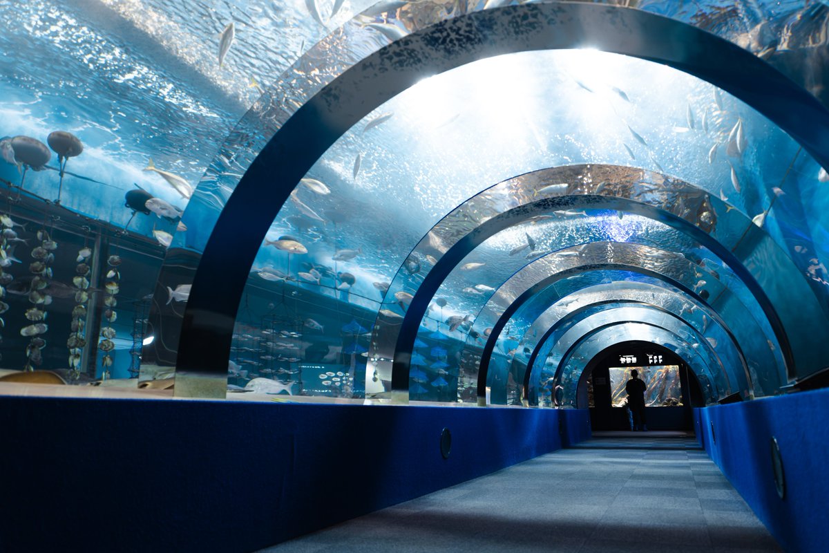 t_aqu_'s tweet photo. 浅虫水族館 https://t.co/NBCUHZqP0Q