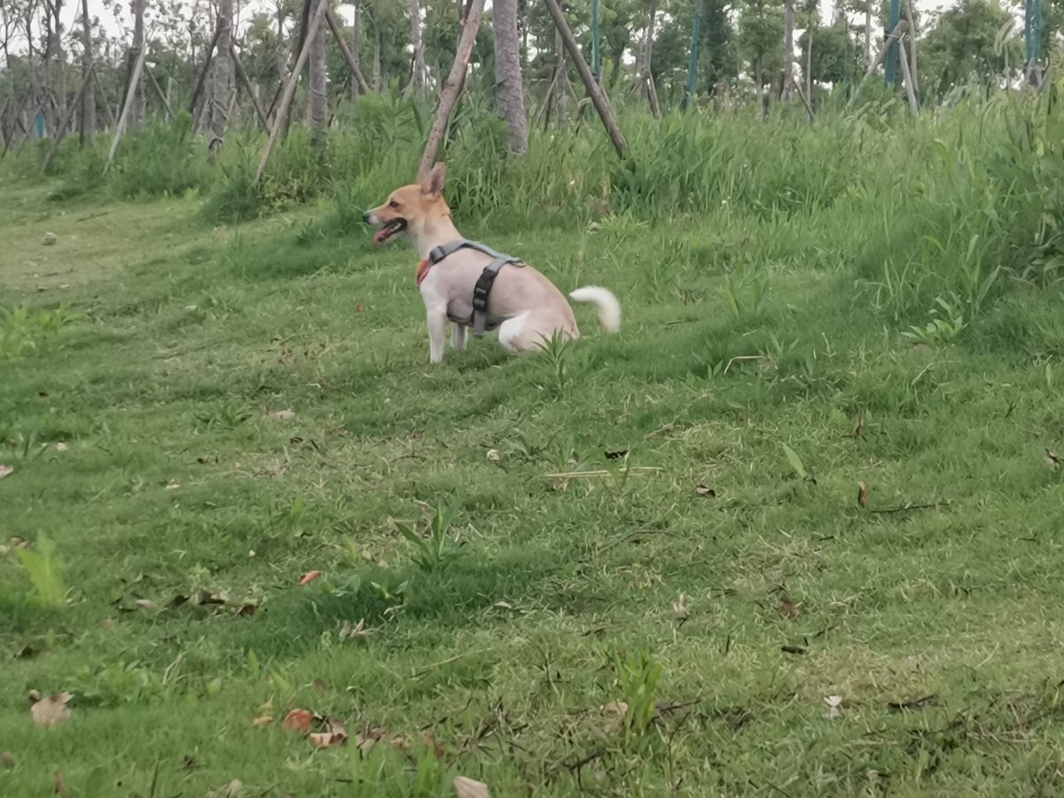 Vanessa ruiz tweet media