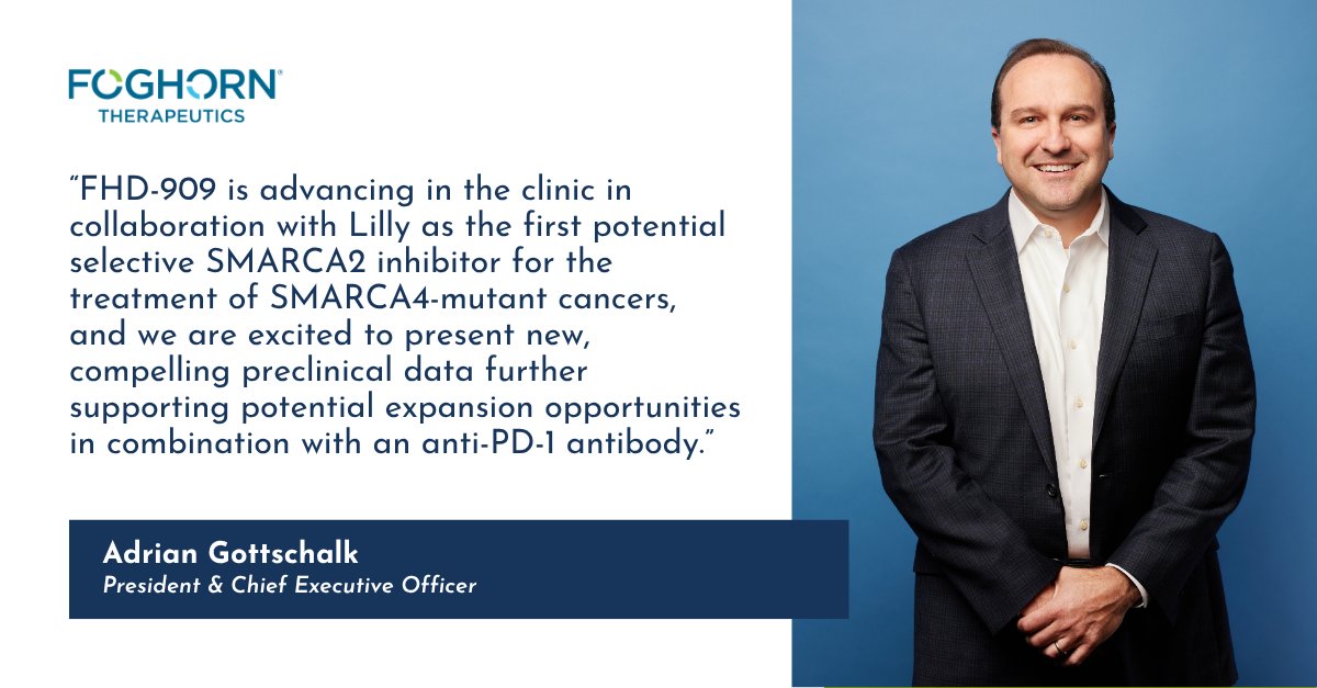 foghorntx's tweet photo. $FHTX will present new preclinical data at #AACR2026 across our pipeline, highlighting differentiated profiles of our programs and their potential in difficult-to-treat cancers. Read here: https://t.co/jQeJNigoks #AACR26 https://t.co/0xLUViXcog