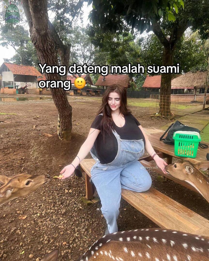 Tanyarlfes tweet media