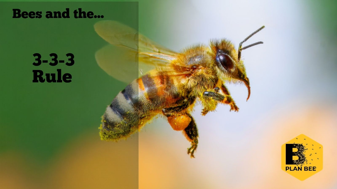 Plan Bee Ltd tweet media