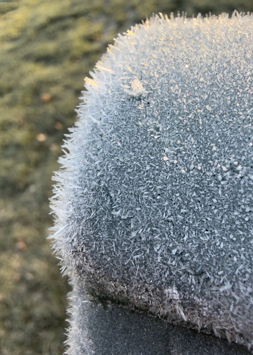 mchesner's tweet image. We awakened to a winter wonderland of frost this morning.  Ice crystals glimmering and gleaming in the sun.  Probably for the last time this season.

#Frost #Frosty #SurpriseWinterMorning #TrumbullCT #Connecticut