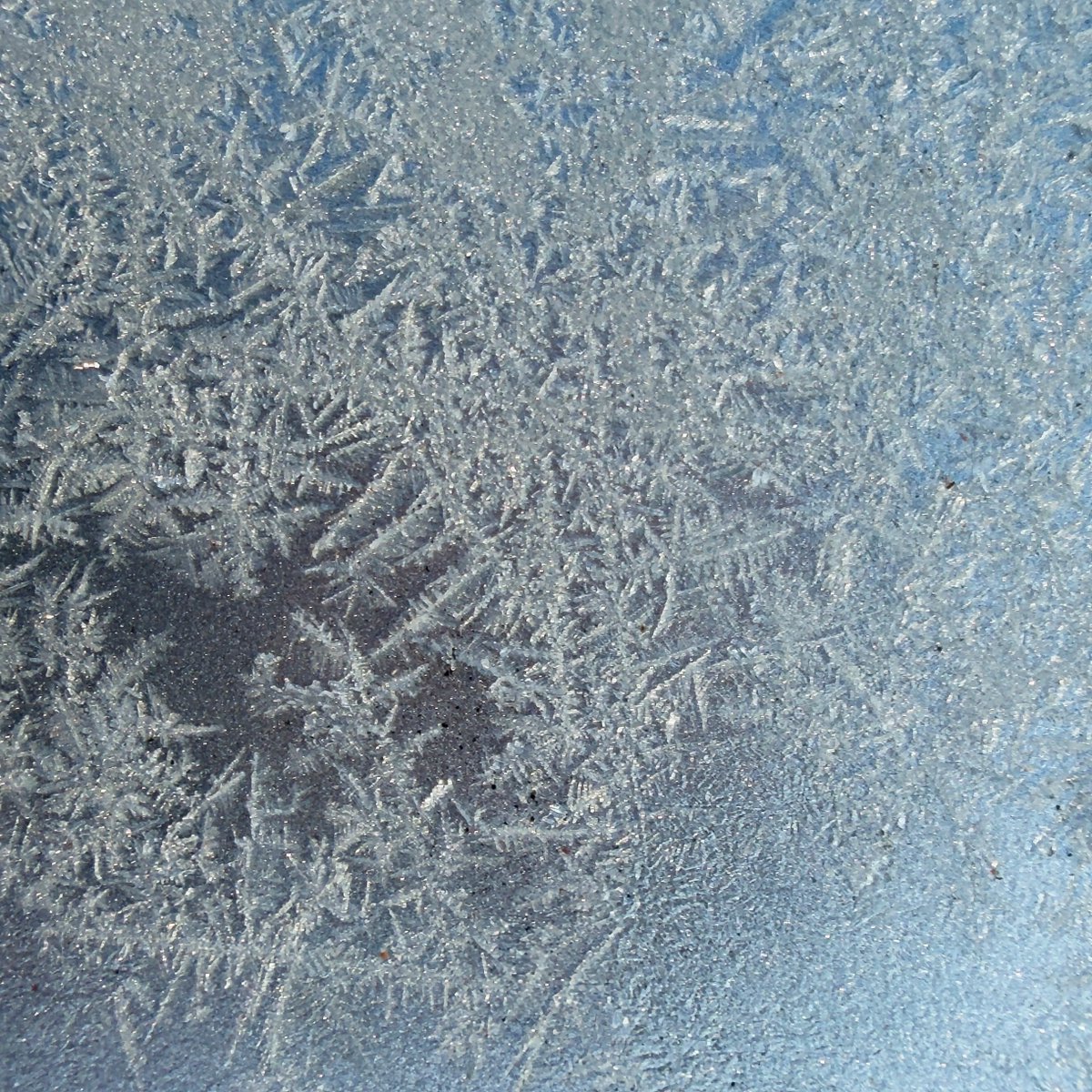 mchesner's tweet image. We awakened to a winter wonderland of frost this morning.  Ice crystals glimmering and gleaming in the sun.  Probably for the last time this season.

#Frost #Frosty #SurpriseWinterMorning #TrumbullCT #Connecticut
