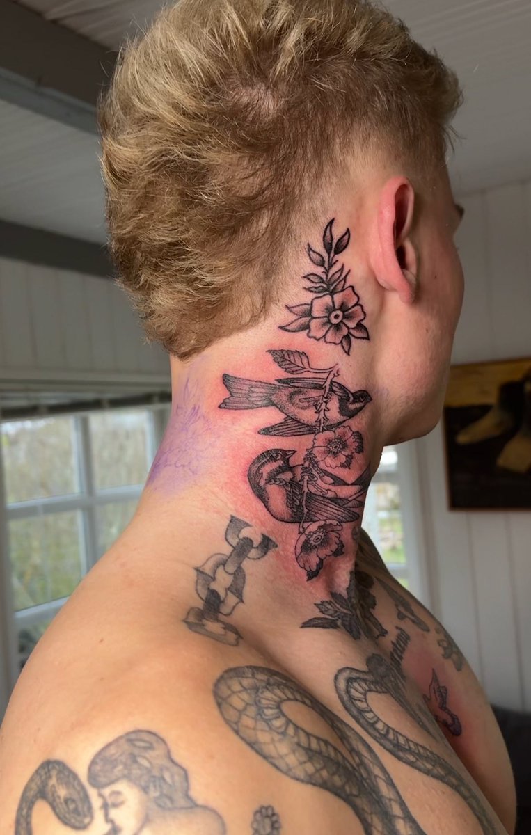 Daniel guldberg tweet media