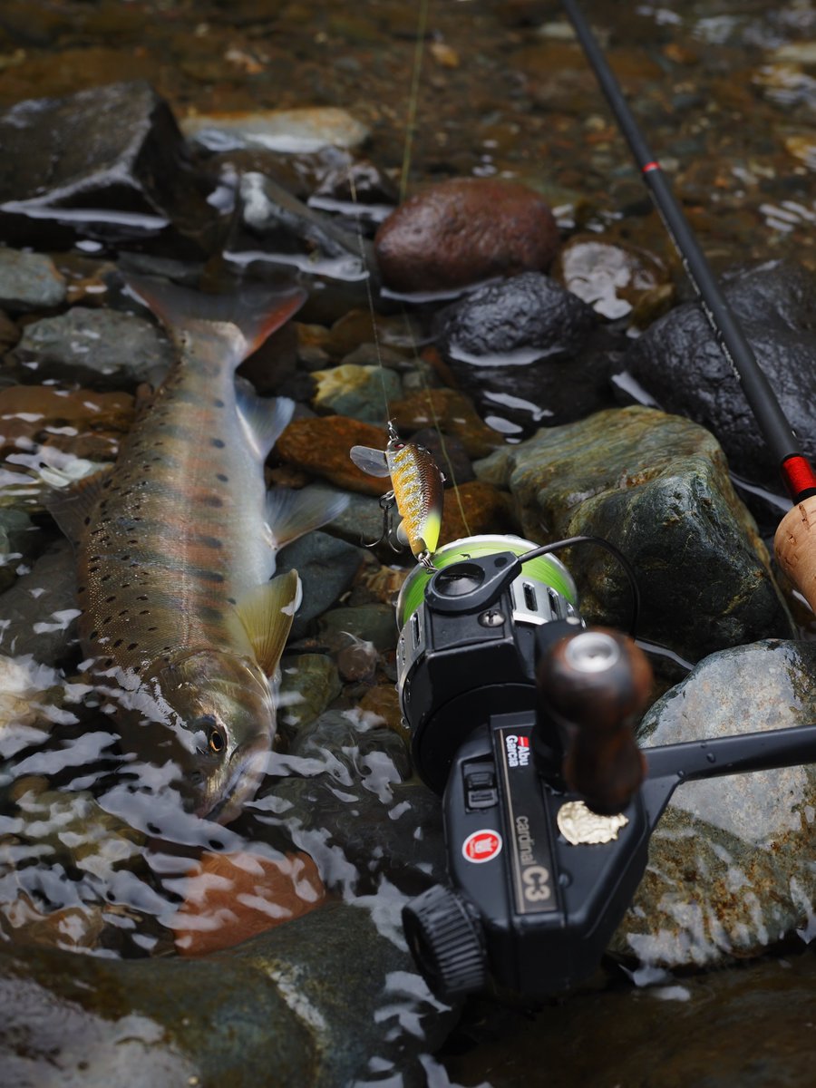 YAMA-MEGANE tweet media