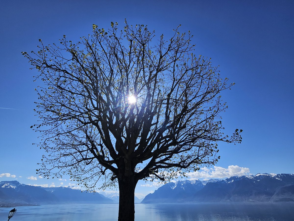 Kurama ๐งฉ tweet media