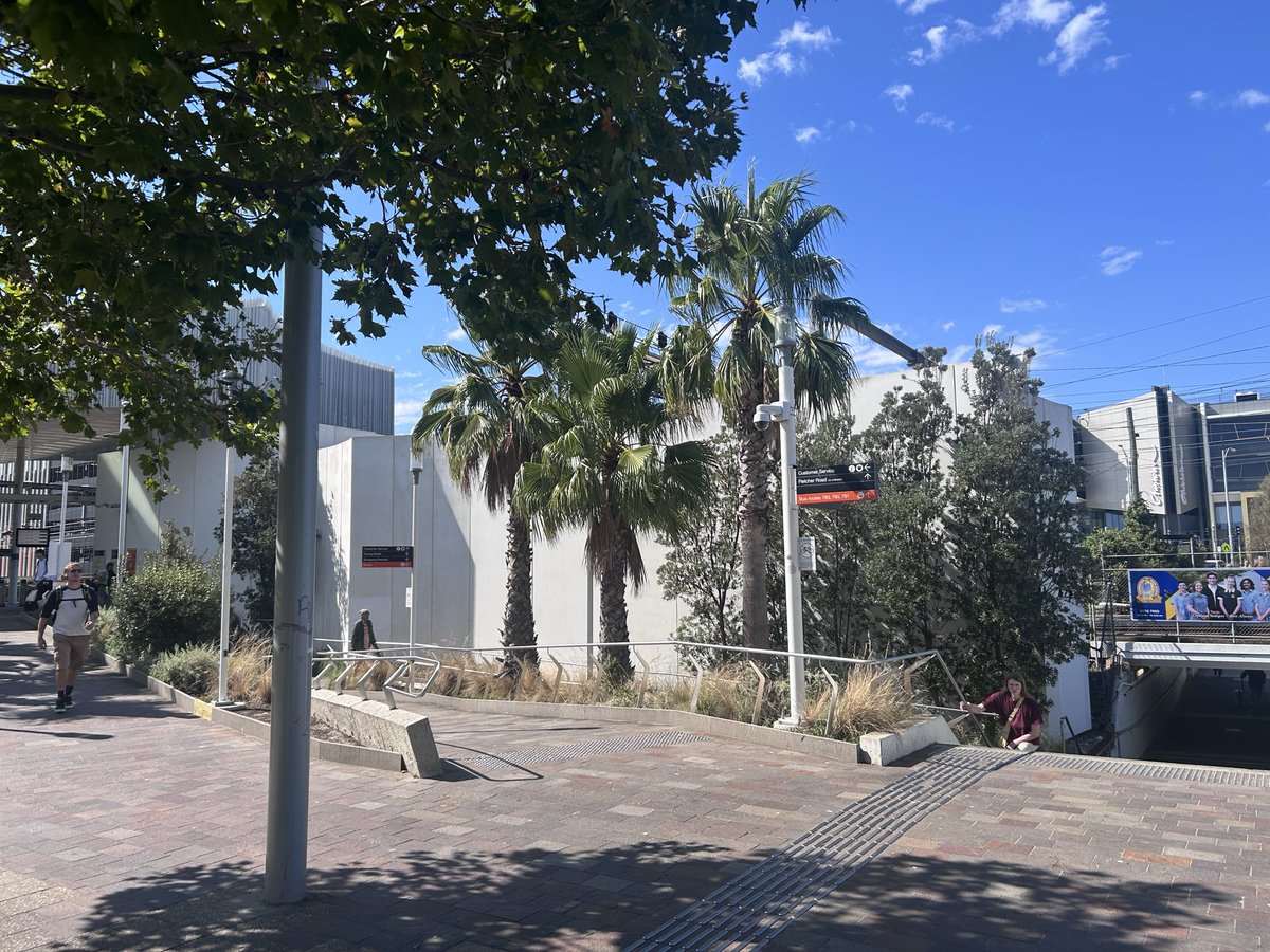 Sputnik Harris Northland (@wacomintos.bsky.social) tweet media