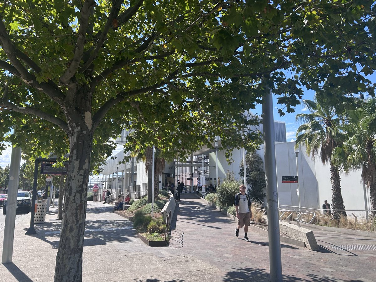 Sputnik Harris Northland (@wacomintos.bsky.social) tweet media