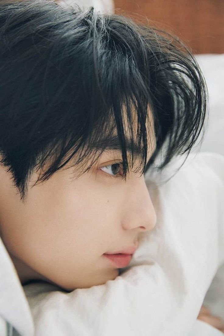 몽달이 tweet media