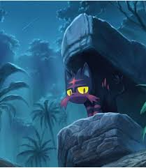 Littens tweet media