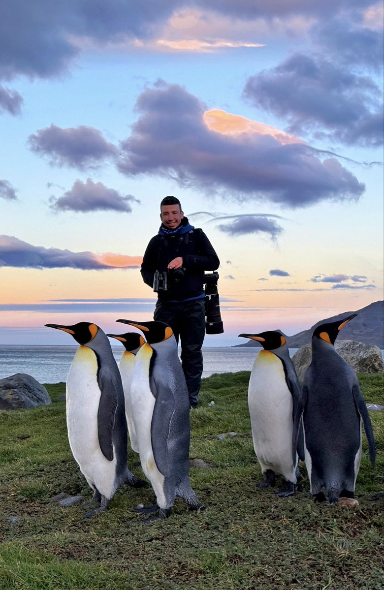 Emin Yoğurtcuoğlu tweet media