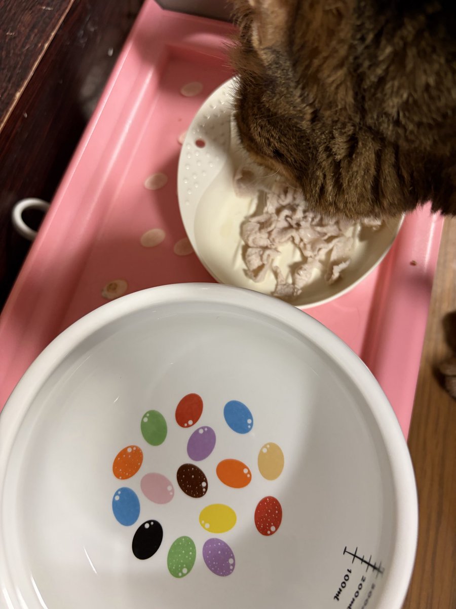 おすみ tweet media