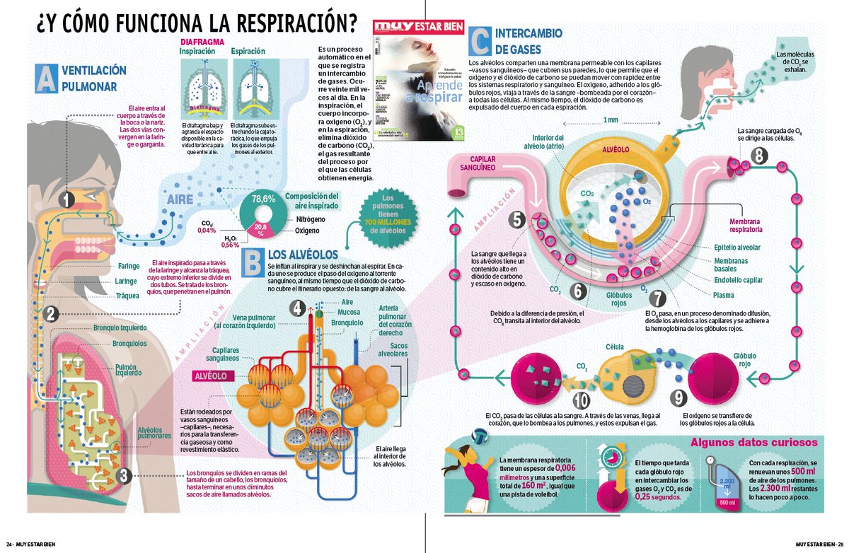 ENARM ⚡ Intensivo 💯👨🏻⚕️🩺📚🔬 tweet media