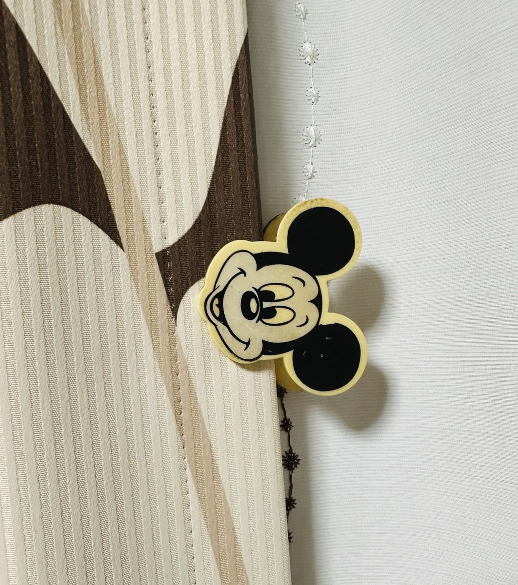 恒例の父の中華料理
と
顔色の悪いミッキー