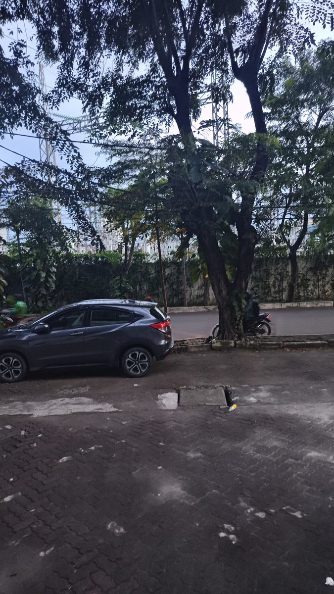 Bertilia 洪红莉 tweet media