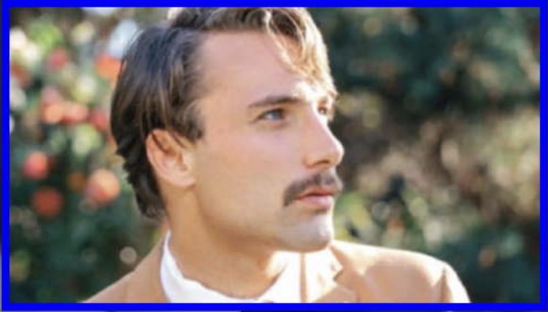 The Daily Sneed™ tweet media