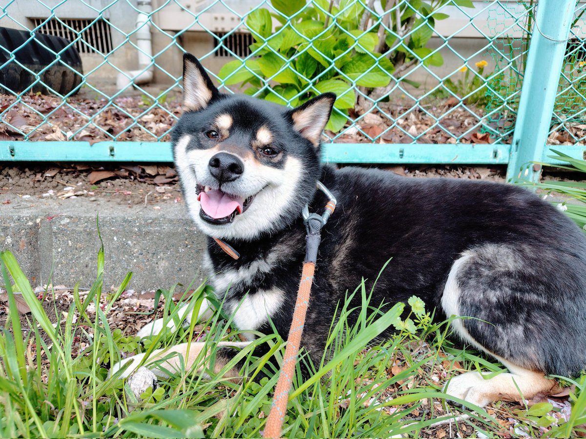 高石智一（編集者） tweet media