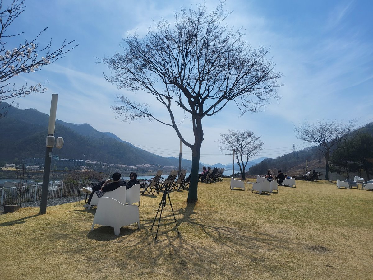 웃고살자 달고나🎗 tweet media