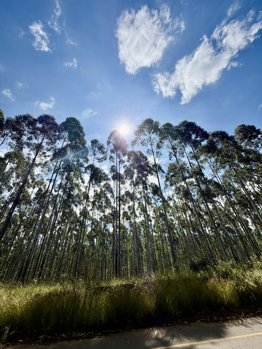 Chymamusique tweet media