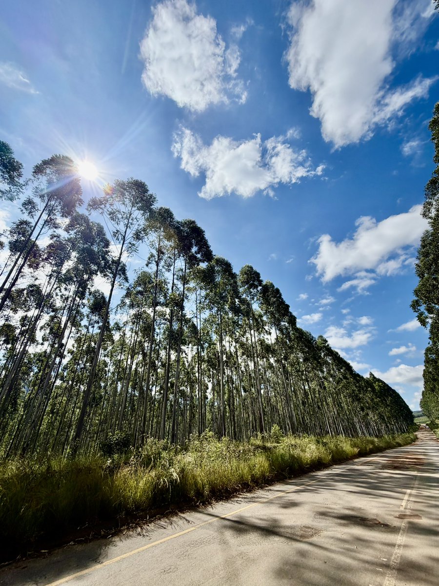 Chymamusique tweet media