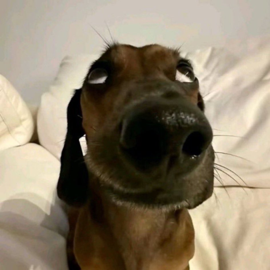 Darlan Kussate 📝 tweet media