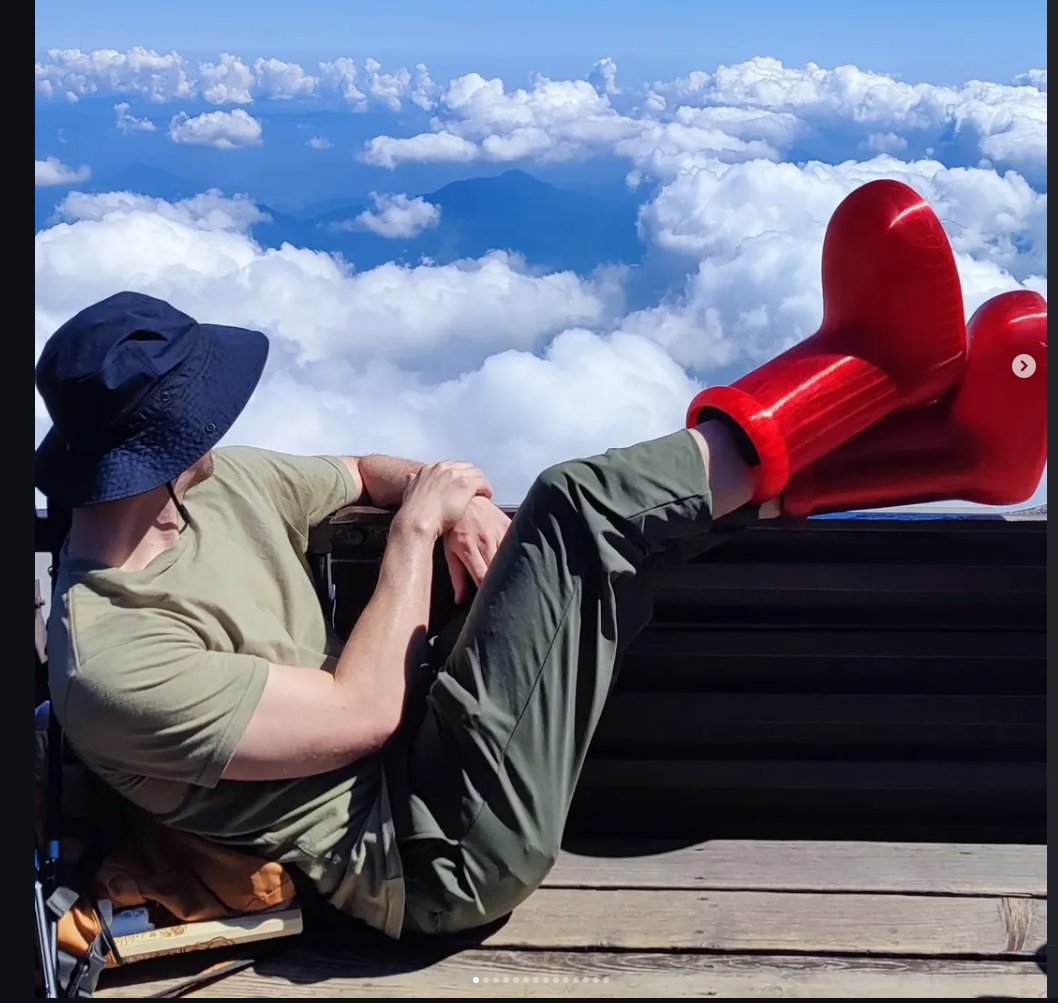 Baja Blastoise tweet media