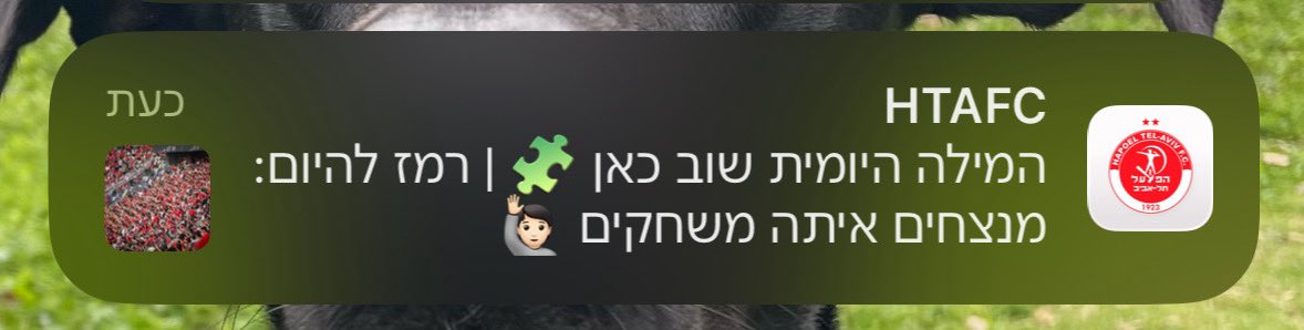 Yotam Bareket tweet media