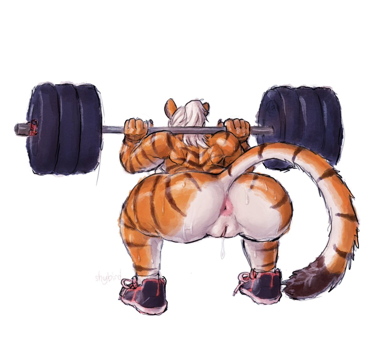 shybird 🔜 FWA tweet media