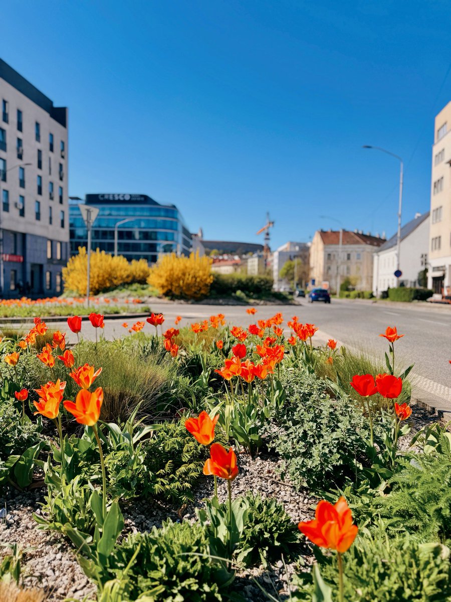 Andreas Constantinou tweet media