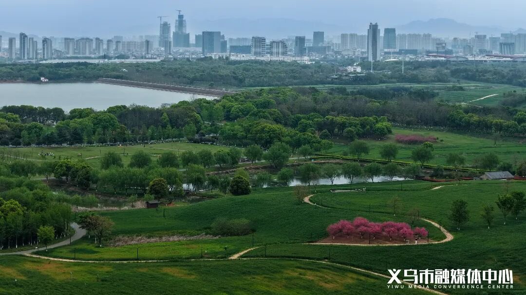 YiwuUnboxed(互fo💯) tweet media