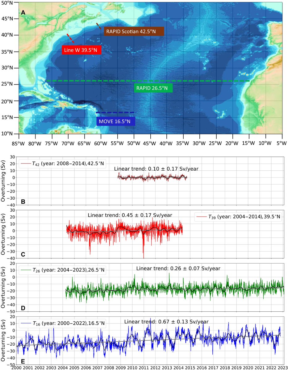 Marco M.M. tweet media