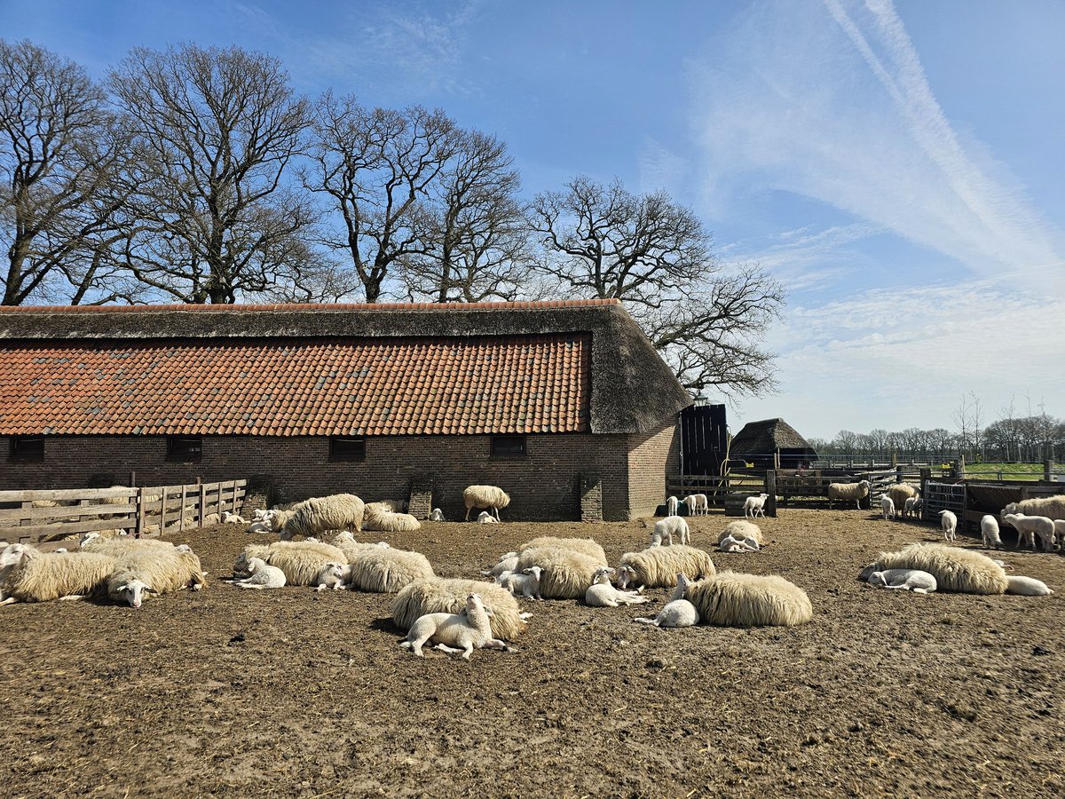 Geurt van Roekel tweet media