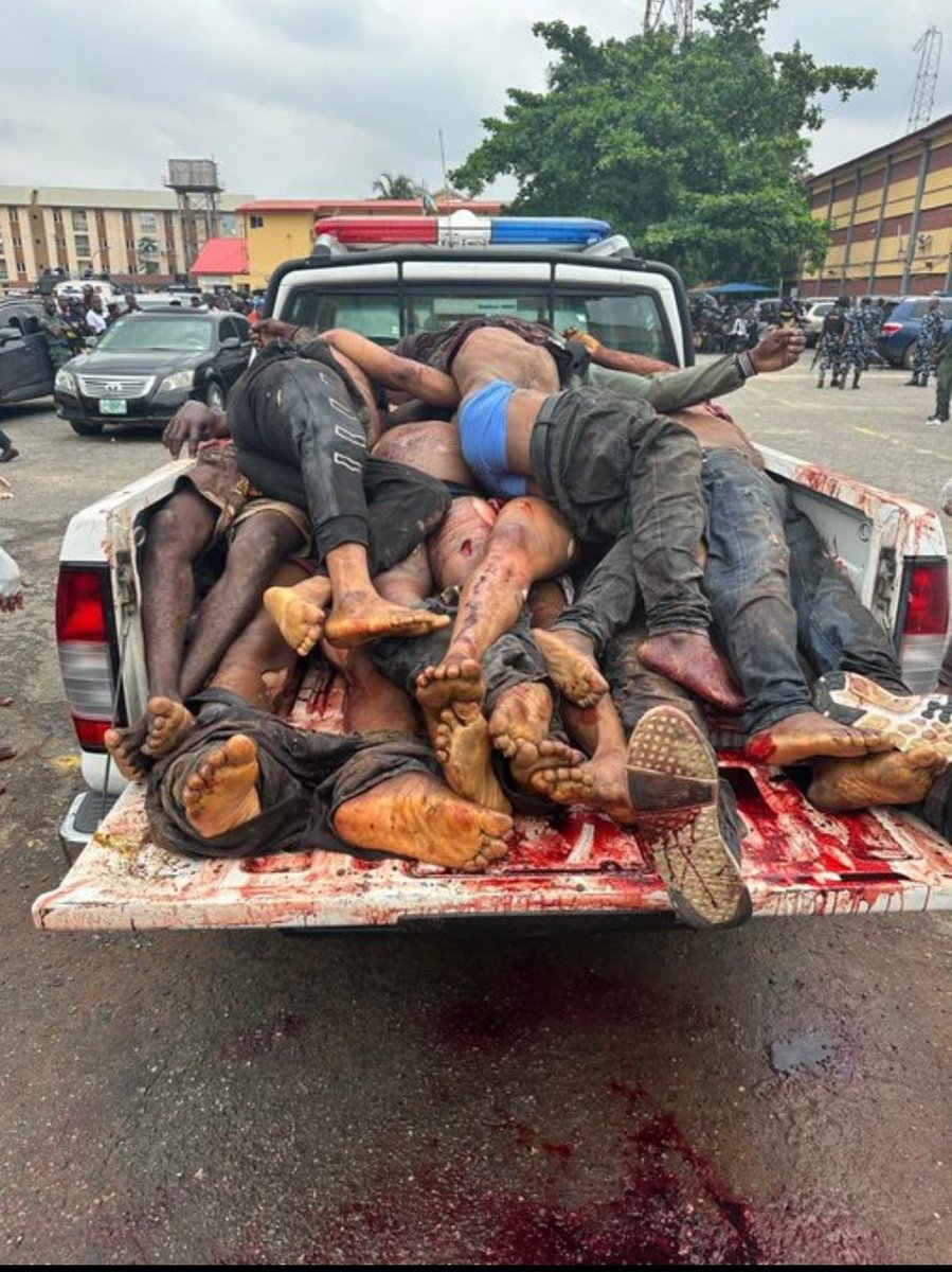 Osekola obi DGAY tweet media