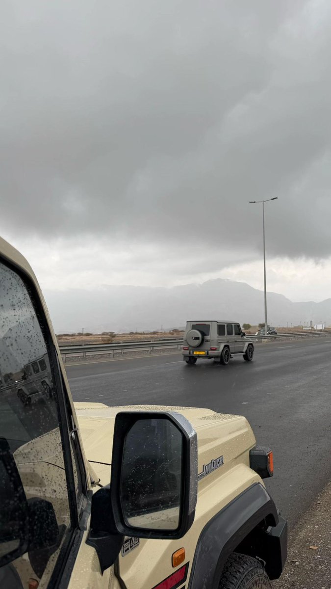 𓆩𓅓𓆪 tweet media