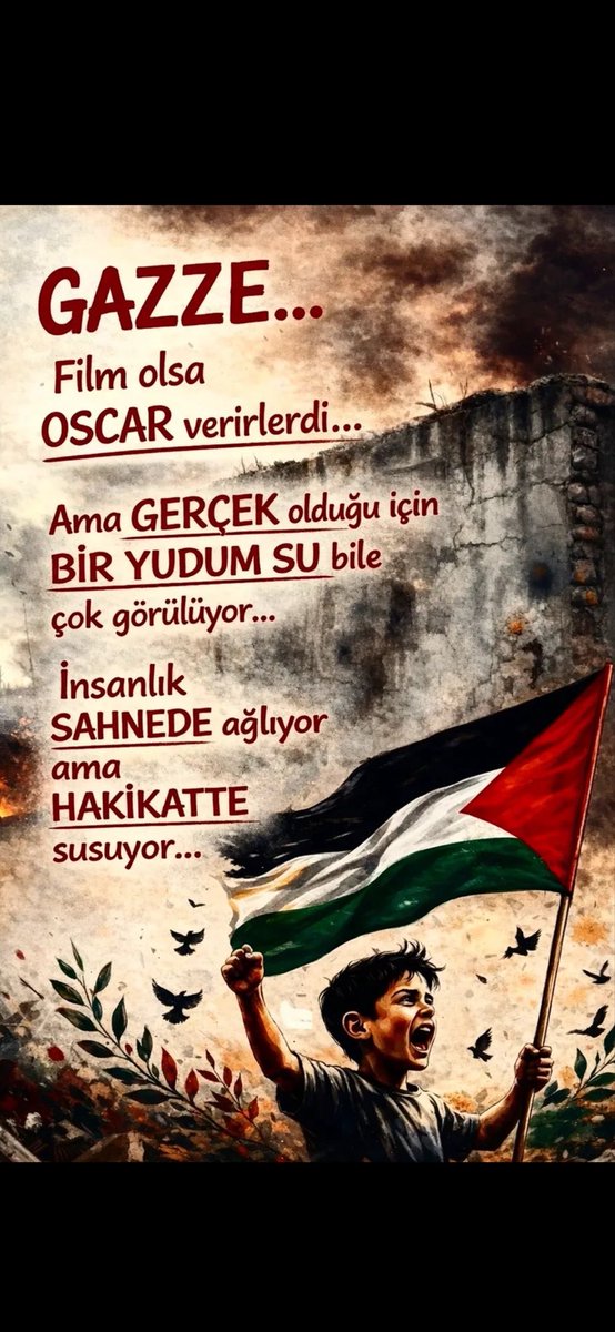 Ayseli Dogan tweet media