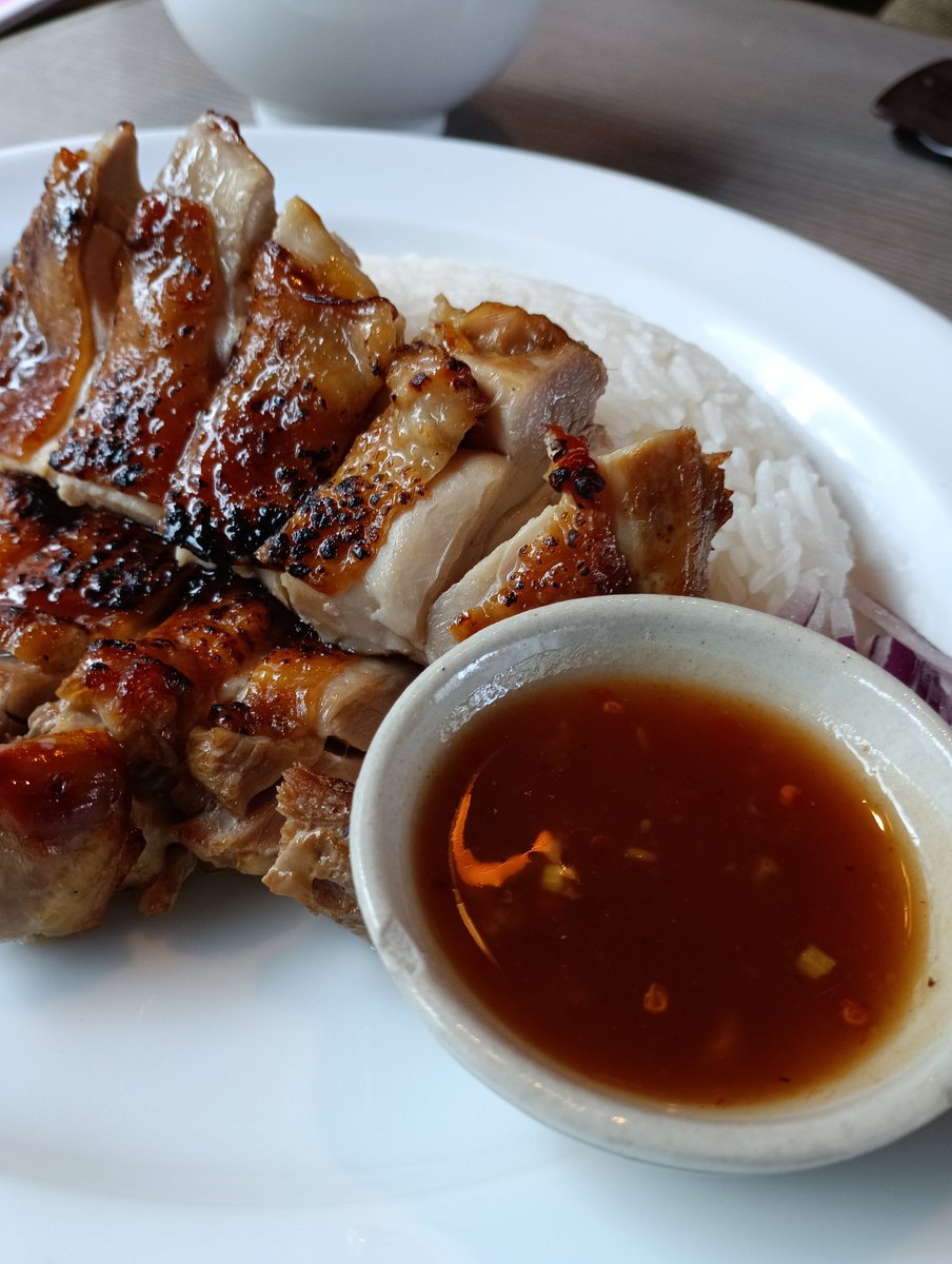 ねこ冷房 tweet media