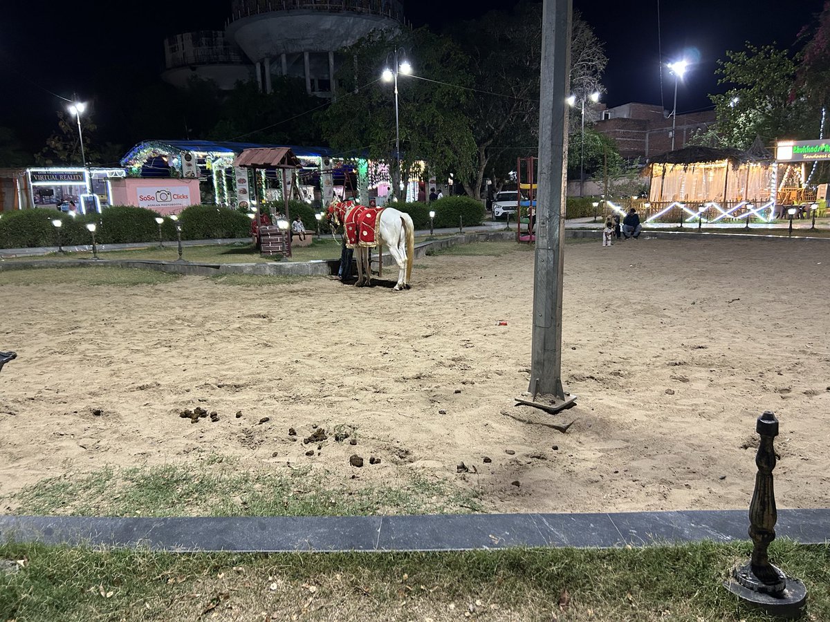 Shailesh tweet media