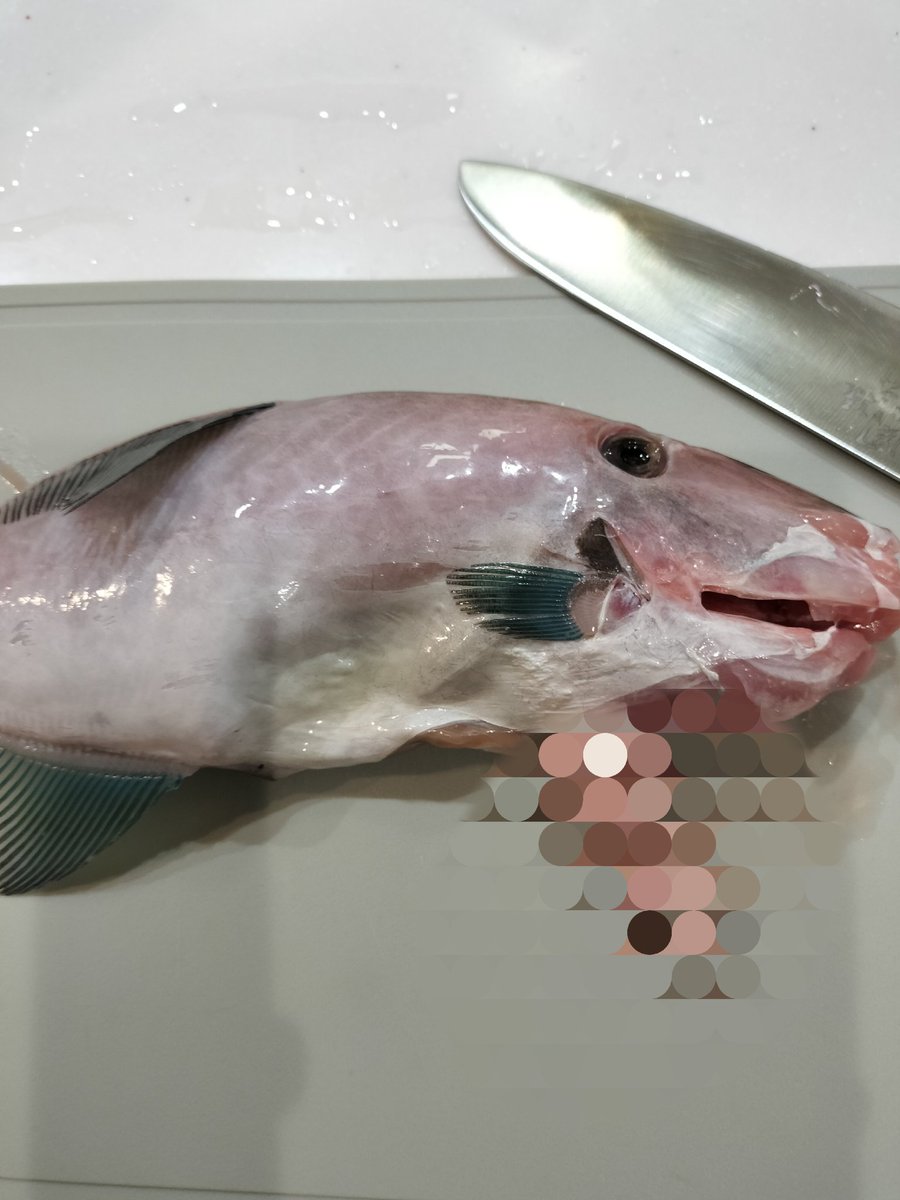 バビ🐟💹 tweet media