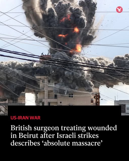 local reporter tweet media