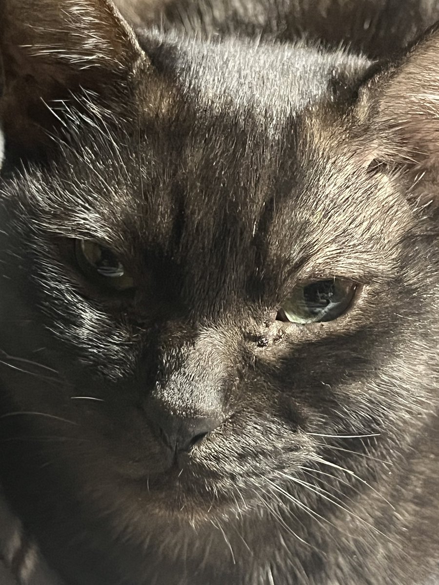 Kangler’sCHOICE tweet media