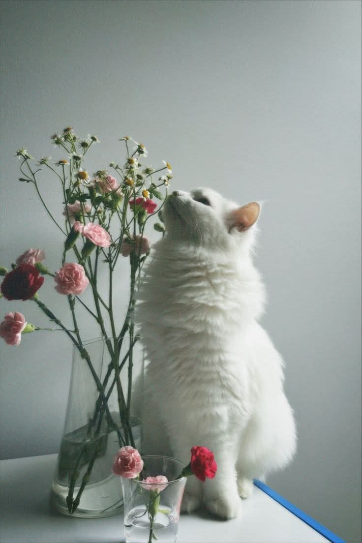 Purely Green tweet media