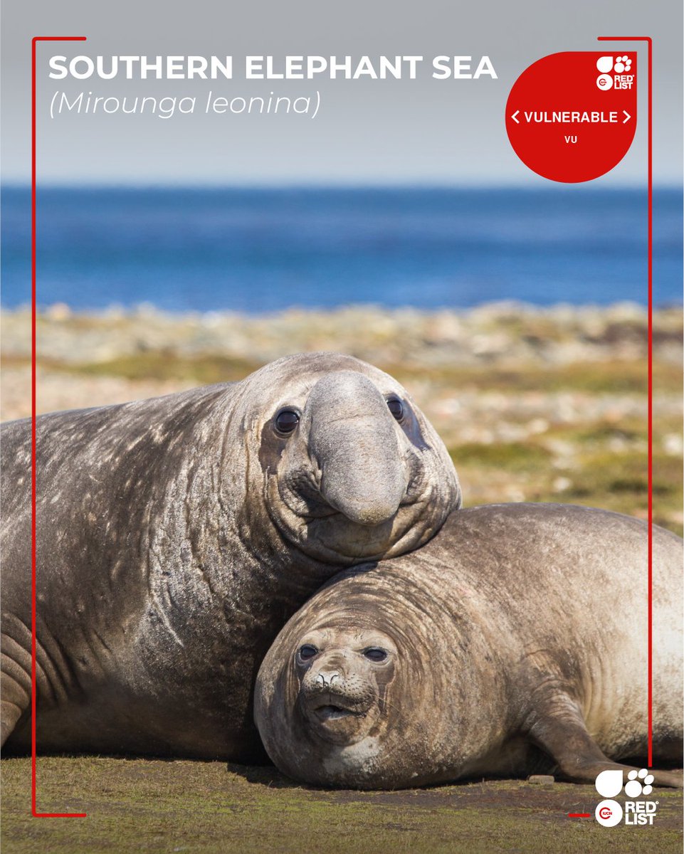 IUCN Red List tweet media