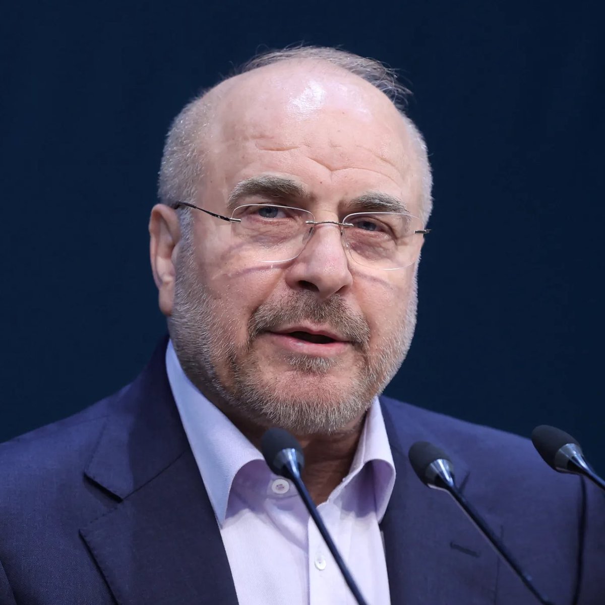 Whale Insider tweet media