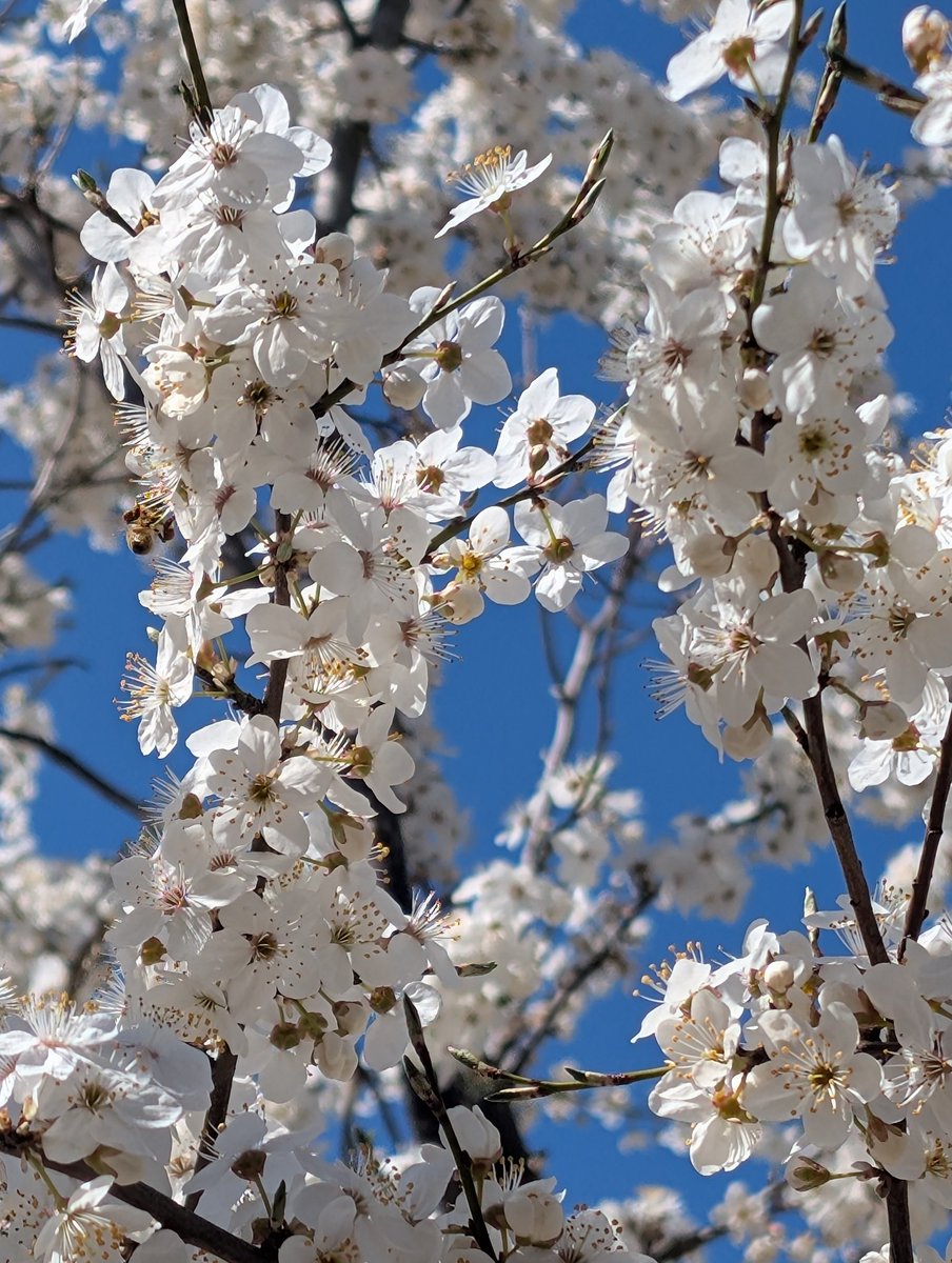 Karolina_Kar tweet media