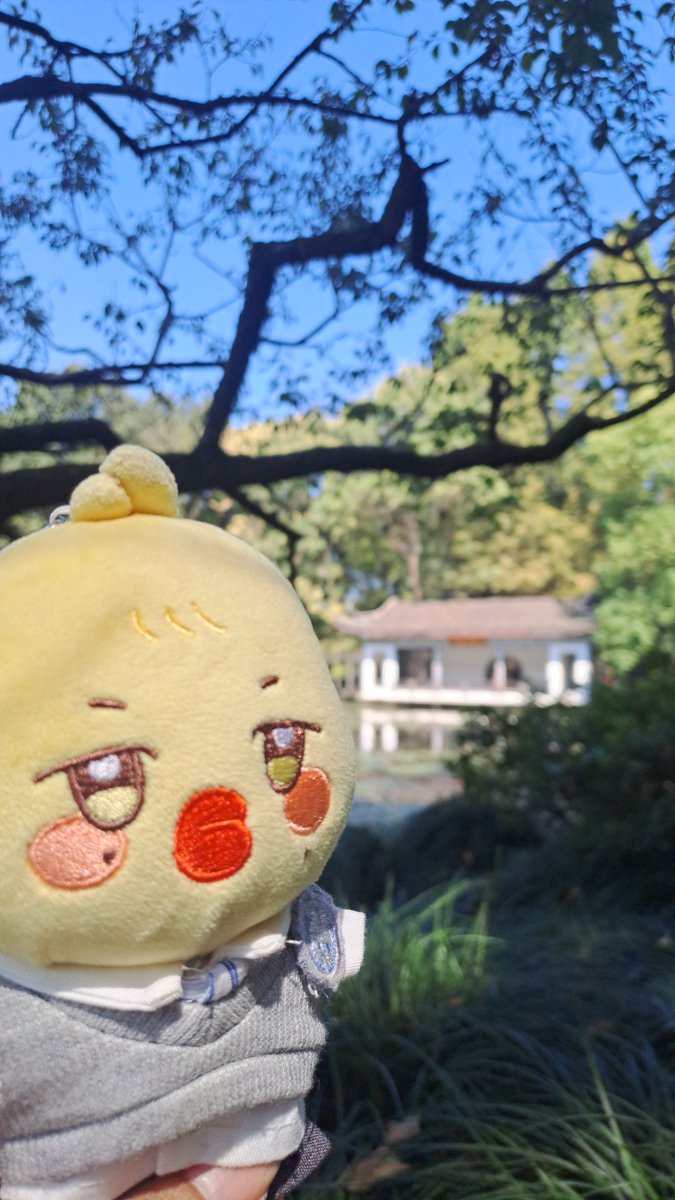 누Nuu🏴‍☠️ tweet media