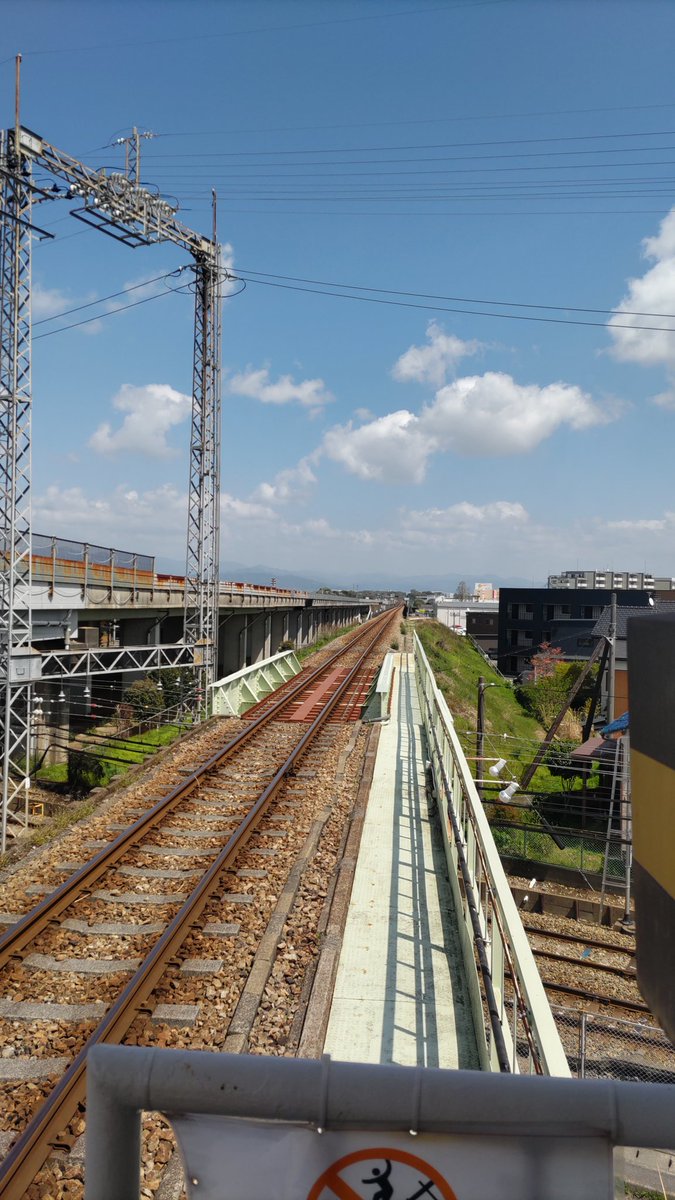 にしじー tweet media