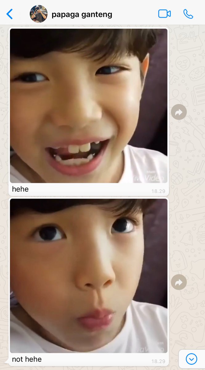 🦉🍯 tweet media